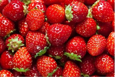
			
				Pesquisadores descobrem o que ninguém queria ver em morangos
			
			