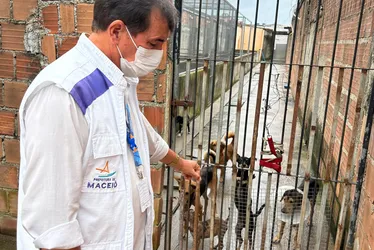 
			
				Remédios vencidos e cães doentes: fiscalização notifica abrigo de animais em Maceió
			
			