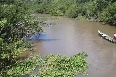 
			
				Rios Mundaú, Santo Antônio e São Miguel sobem com chuvas em Alagoas
			
			