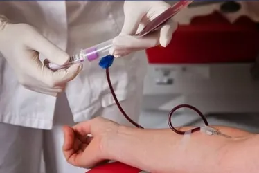 
				Santa Casa de Maceió entra em alerta por falta de sangue raro
			
			