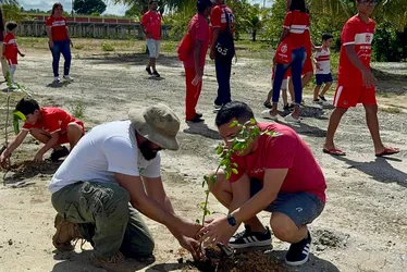 
			
				Sócios Kids do CRB plantam 60 mudas de árvores no CT Ninho do Galo
			
			