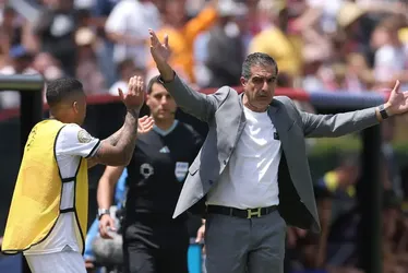 
				Torcedores do Botafogo elegem culpado em eliminação no Mundial
			
			