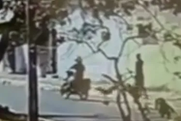 
				Traficante é preso após matar usuário que devia dinheiro
			
			