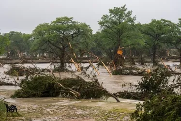 
				Veja vídeos das enchentes que atingem o Texas, nos Estados Unidos
			
			