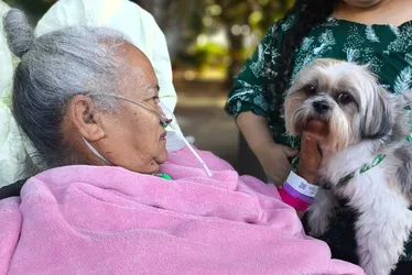 
			
				Vídeo emocionante: mulher internada reencontra cão de estimação
			
			