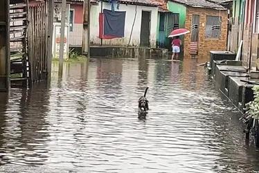 
				Vídeo: lagoa transborda em Marechal Deodoro e alaga ruas do Centro
			
			