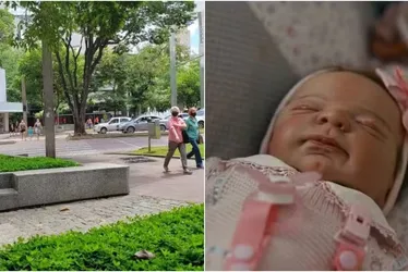 
			
				Vídeo mostra confusão após homem agredir bebê achando que era 'reborn'
			
			