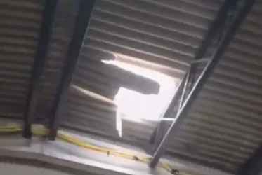 
			
				Vídeo: trabalhador cai após telhado ceder no mercado público de Marechal Deodoro
			
			