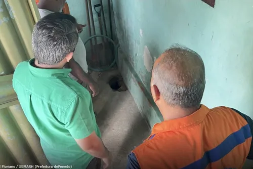 
				Superaquecimento e fumaça no chão: geólogo coleta amostras para investigar 'fenômeno térmico' em casas de Penedo
			
			