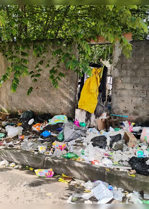 
				Escorpiões, baratas e roedores: 10 toneladas de entulhos são recolhidos de casa
			
			