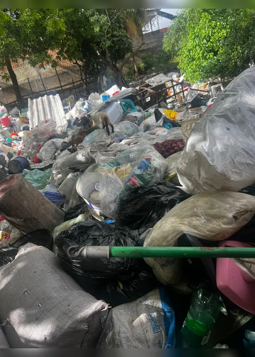
				Escorpiões, baratas e roedores: 10 toneladas de entulhos são recolhidos de casa
			
			