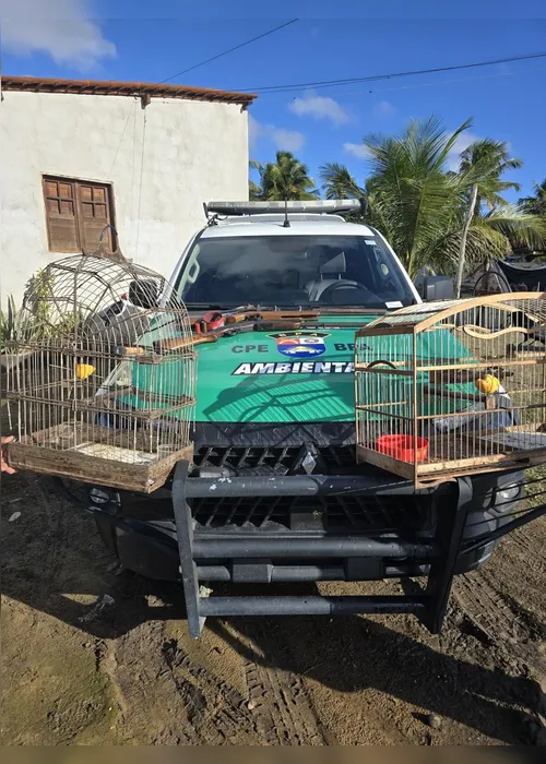 
				Espingardas artesanais e aves silvestres são apreendidas em residência de Piaçabuçu
			
			