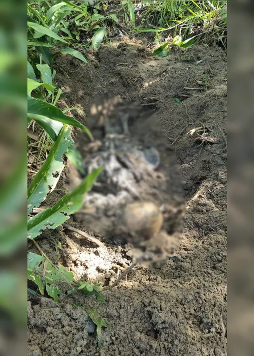 
			
				Ossada humana achada no interior pode estar ligada a uma série de sumiços
			
			