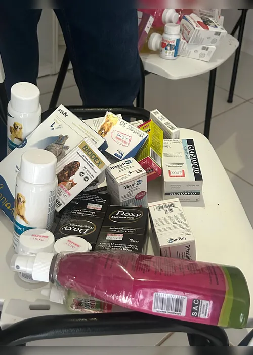 
			
				Remédios vencidos e cães doentes: fiscalização notifica abrigo de animais em Maceió
			
			