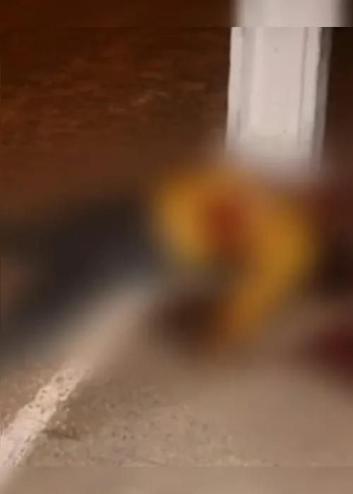 
			
				Tocaia e "sem defesa": entenda como motoboy foi confundido por facção e morto após suposto "leva e traz"
			
			