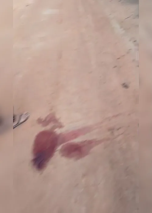 
				VÍDEO: Corpos decapitados são encontrados em estrada de Boca da Mata
			
			