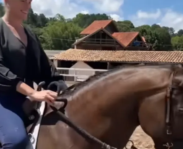 Banco tenta penhorar cavalo que Ana Hickmann ganhou de Edu Guedes