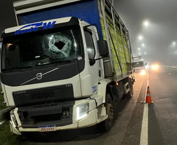 Caminhoneiro morre após ser atingido por pedra em rodovia