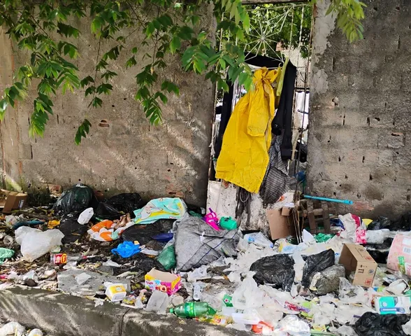 Escorpiões, baratas e roedores: 10 toneladas de entulhos são recolhidos de casa