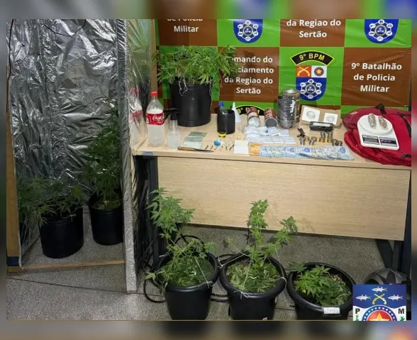 Polícia desmonta estufa de maconha e prende suspeito em AL