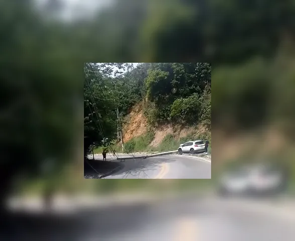 Vídeo: carro derruba poste e interdita rua no Barro Duro