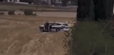 
			
				Vídeo: policiais são flagrados fazendo sexo dentro de viatura
			
			