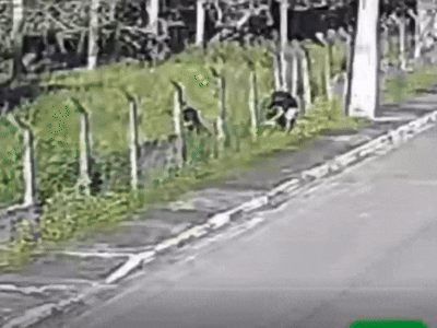 Vídeo mostra fuga de suspeito de matar homem em loja de Marechal Deodoro
