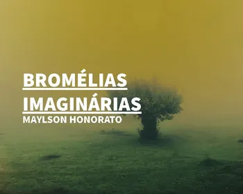 Jornalista da Gazeta, Maylson Honorato, estreia na ficção com ‘Bromélias Imaginárias’; livro está em pré-venda