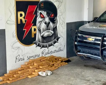 PM apreende quase 80kg de maconha enterrados em área de mata na Grota do Rafael