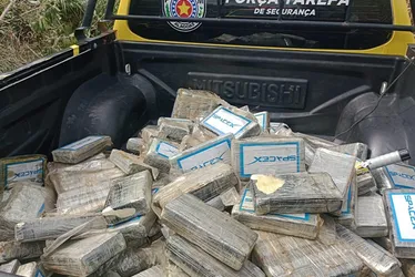 
				Avião monomotor com quase 200 kg de cocaína cai e piloto morre em Coruripe
			
			