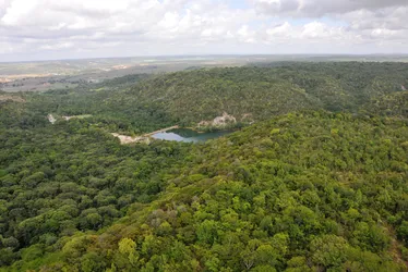 
				Biodiversidade, água e sustentabilidade: as riquezas das Unidades de Conservação

			