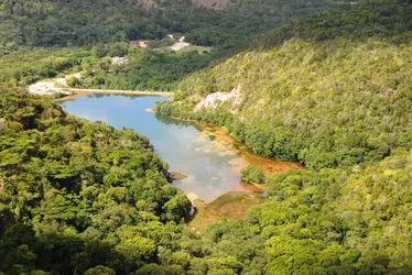 
				Biodiversidade, água e sustentabilidade: as riquezas das Unidades de Conservação

			
