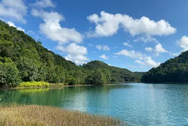 
				Biodiversidade, água e sustentabilidade: as riquezas das Unidades de Conservação

			