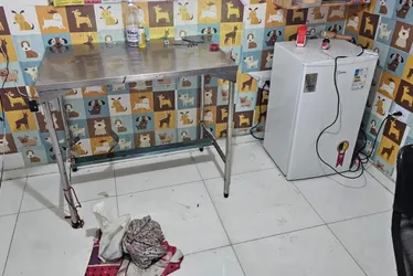 
				Clínica veterinária que fazia cirurgias irregulares em animais é interditada
			
			