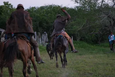 
				‘Isso é Alagoas’ estreia 10ª temporada neste sábado
			
			