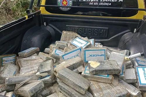 
				Carga de cocaína em avião que caiu em Coruripe é avaliada em R$ 9 milhões
			
			