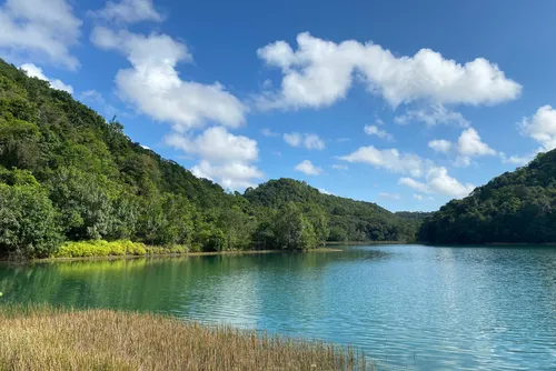 
				Biodiversidade, água e sustentabilidade: as riquezas das Unidades de Conservação
			
			