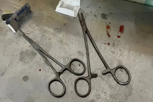 
				Clínica veterinária que fazia cirurgias irregulares em animais é interditada
			
			