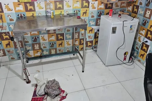 
				Clínica veterinária que fazia cirurgias irregulares em animais é interditada
			
			