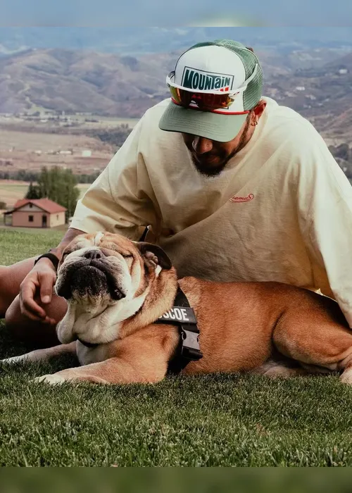 
				Cachorro de Lewis Hamilton morre 'nos braços' do piloto: "Um anjo e verdadeiro amigo"
			
			