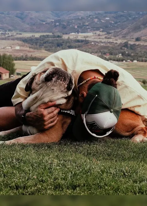 
				Cachorro de Lewis Hamilton morre 'nos braços' do piloto: "Um anjo e verdadeiro amigo"
			
			