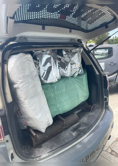 
				Movimentação suspeita em casa termina com apreensão 80kg de drogas na Ponta Grossa

			