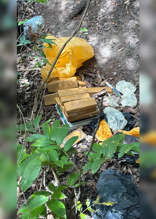 
				PM apreende quase 80kg de maconha enterrados em área de mata na Grota do Rafael

			