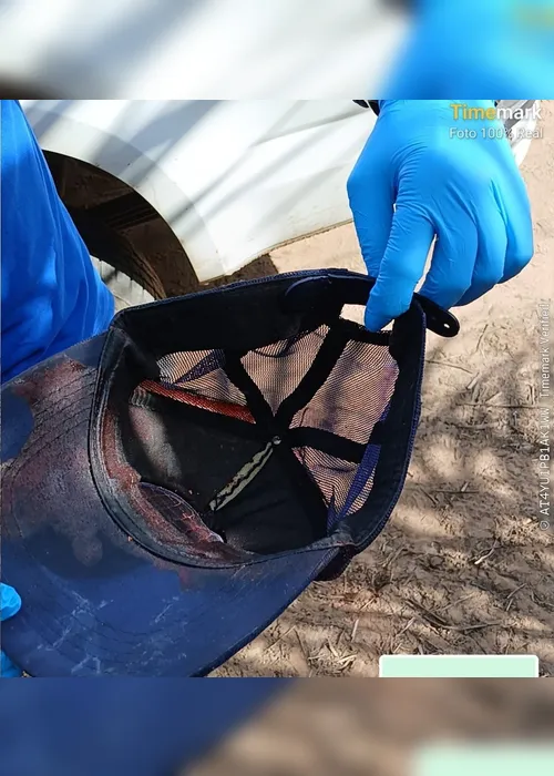 
				Veja momento em que bombeiros retiram corpo enterrado em canavial em Penedo

			