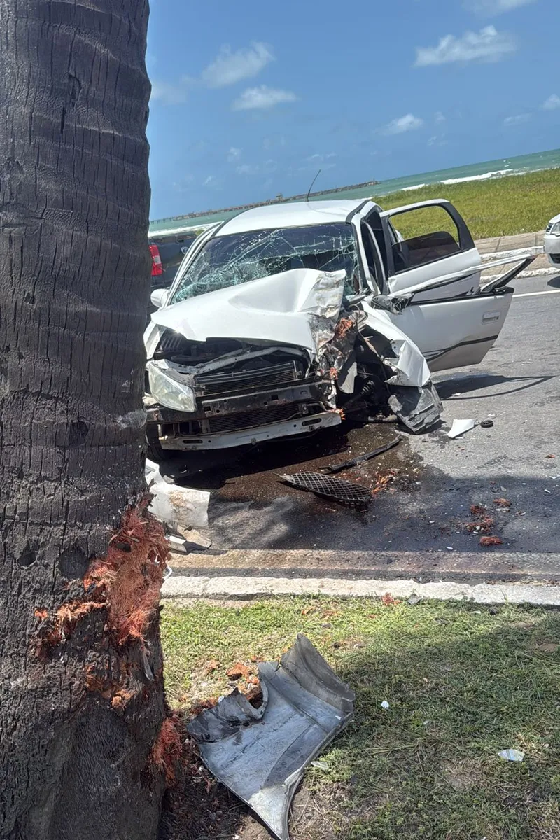 Motorista fica gravemente ferido após colidir com coqueiro no Pontal da Barra
