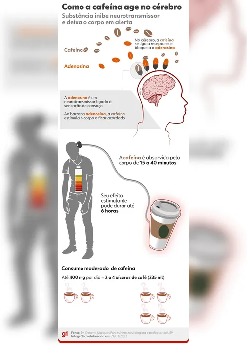 
				Por que o mundo não vive sem café?  A ciência ajuda a entender
			
			