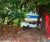 Carro quase despenca em ribanceira após bater em árvore no Farol imagem