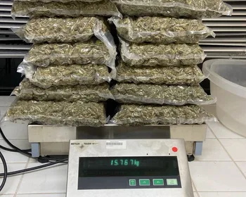 Polícia Militar apreende 21 armas de fogo e 24 Kg de drogas em Alagoas