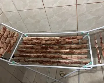 Polícia acha dinheiro 'secando' em varal durante ação contra lavagem