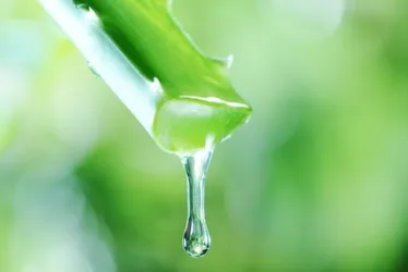 
				5 ingredientes naturais que ajudam o cabelo a crescer forte e saudável
			
			